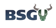 BSG